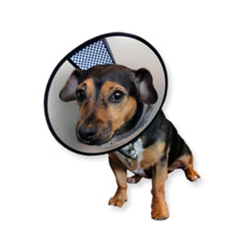 AA Easyfix-Collar beschermkraag M 26 - 32