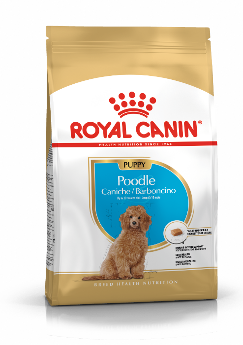 Royal Canin Poodle voer voor puppy 3kg