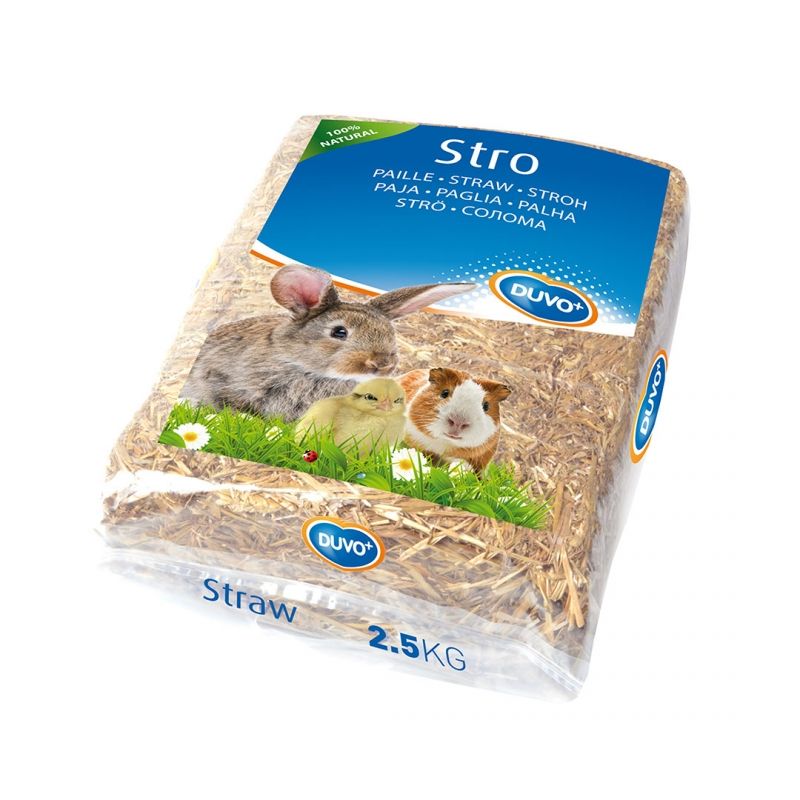 Stro 2