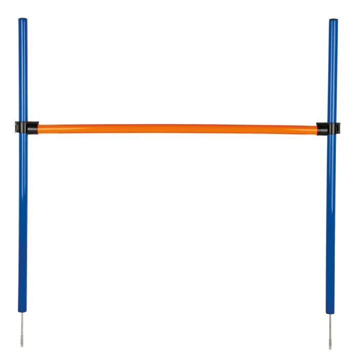 Trixie Fun Agility Horde hond