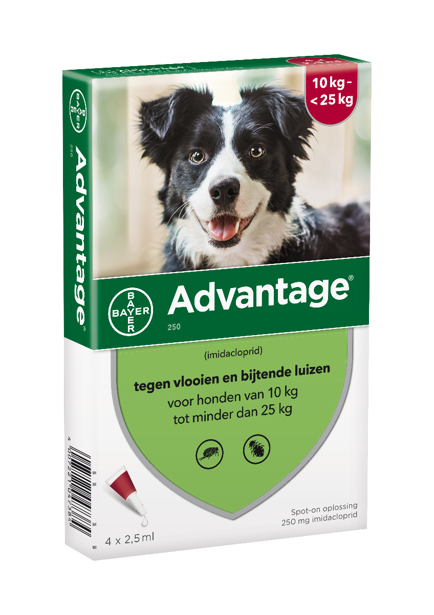 Advantage Hond 250
