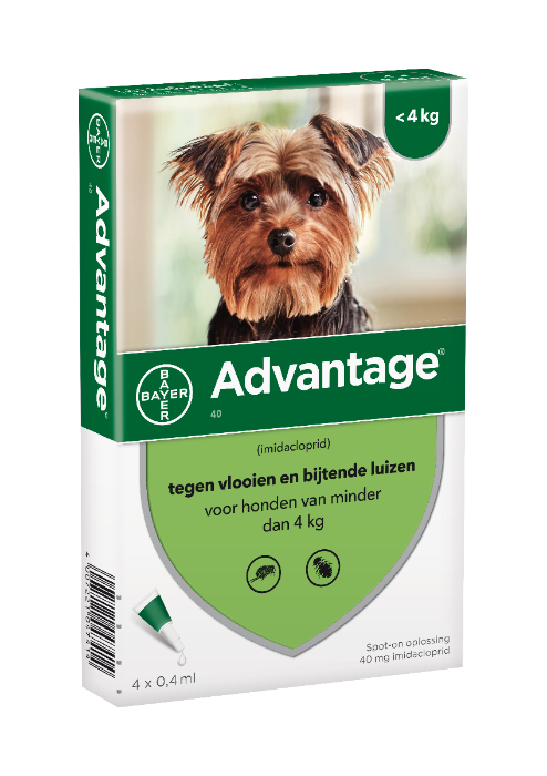 Advantage Hond 40
