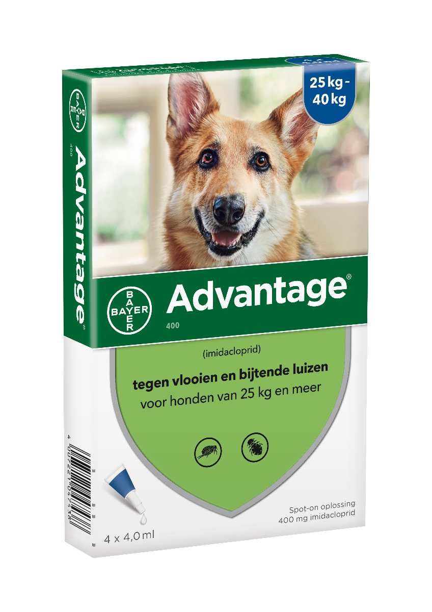 Advantage Hond 400