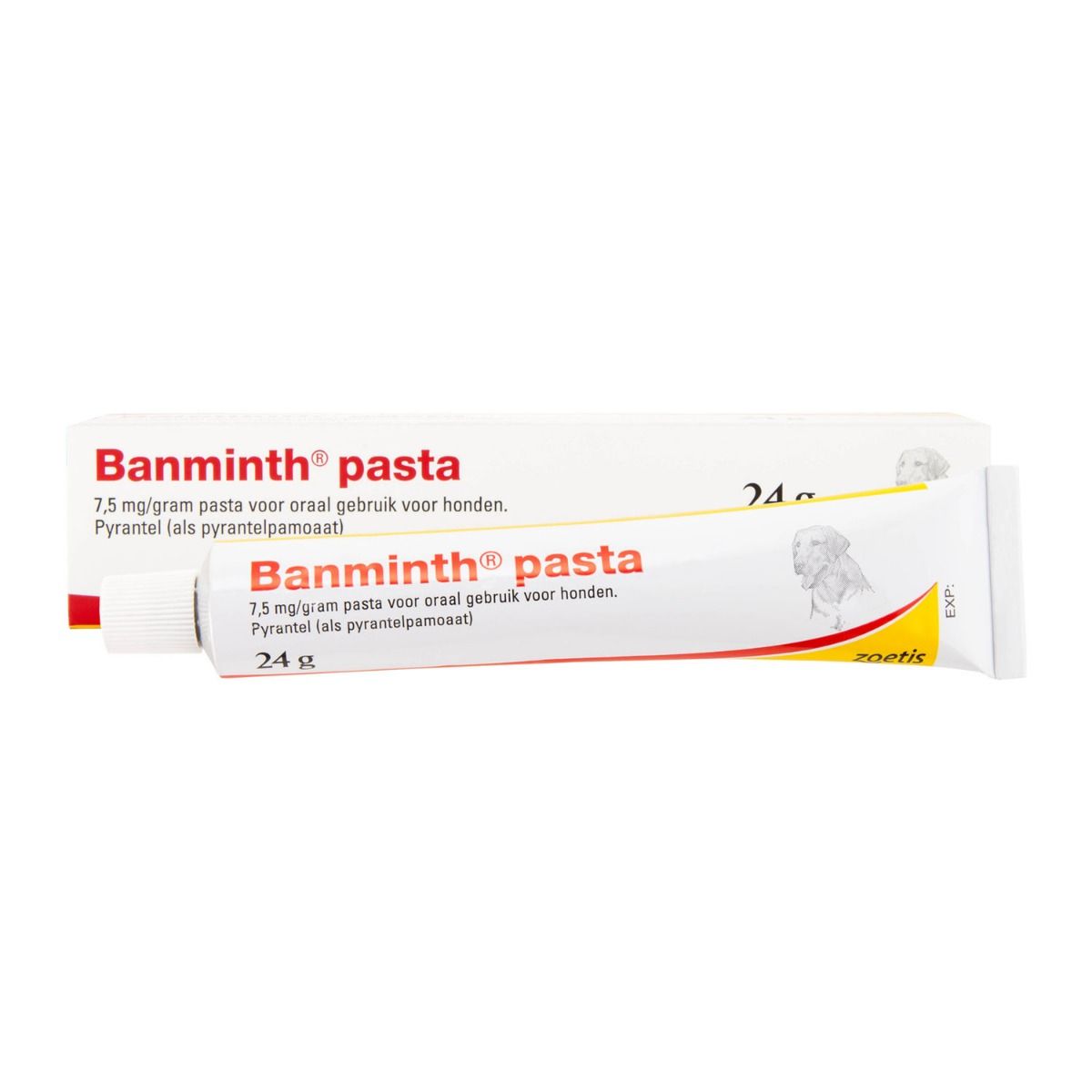 Banminth pasta hond