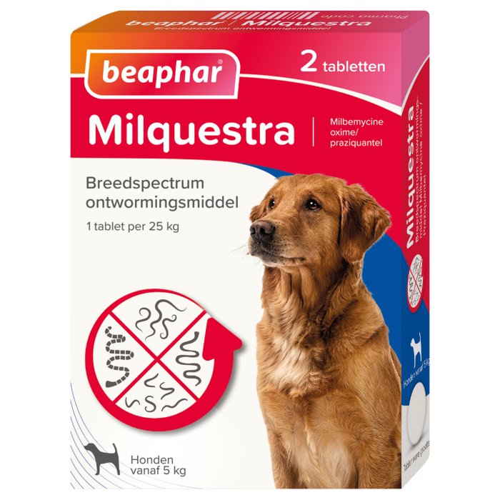 Beaphar Milquestra Hond - 2tbl