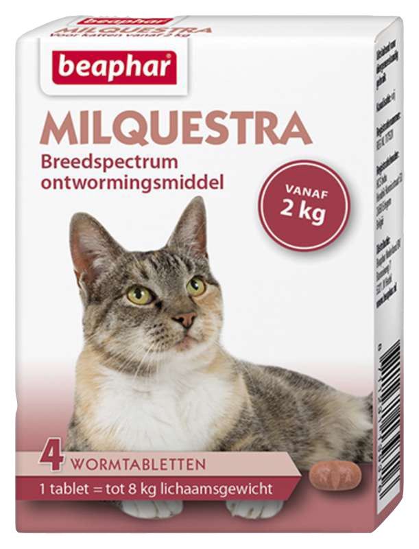 Beaphar Milquestra Kat - 4tbl