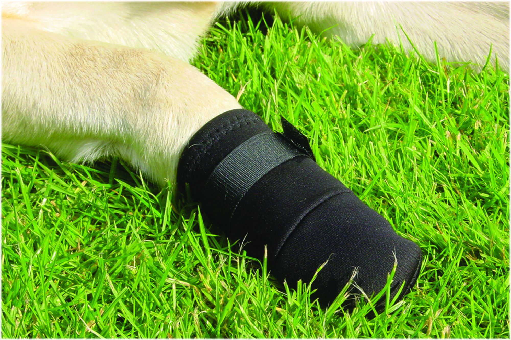 Beeztees Beschermingsschoen Zwart M 2st