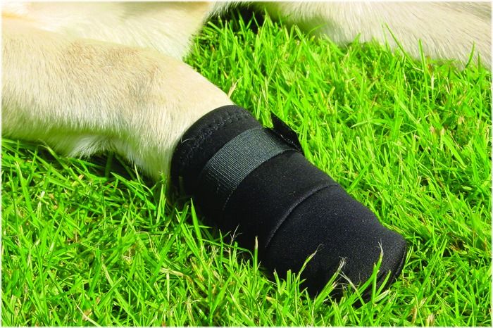 Beeztees Beschermingsschoen Zwart S 2st