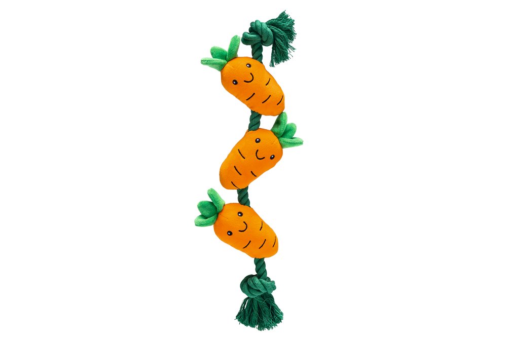 Beeztees Flostouw Wortel hondenspeelgoed