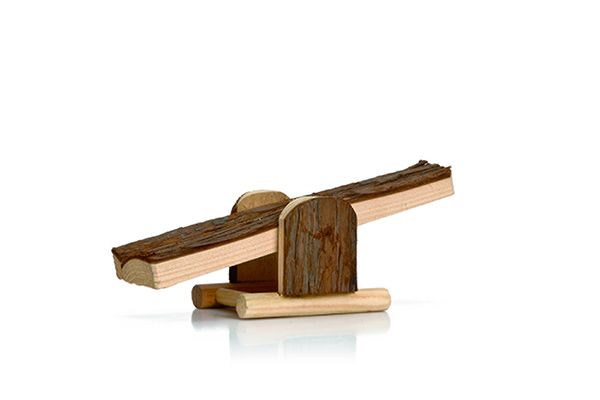 Beeztees Forest Wip 22x8