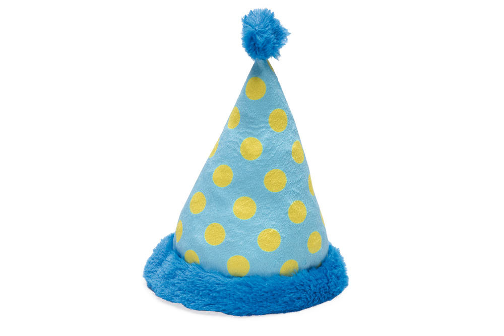 Beeztees Party Feestmuts hondenspeelgoed 22x14x14 cm