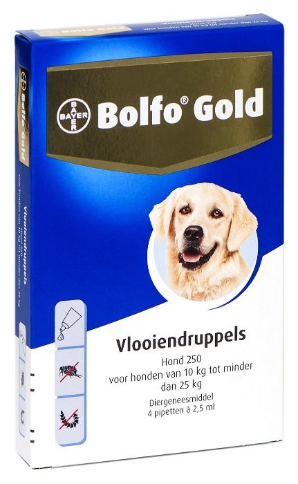 Bolfo Gold Hond 250 10-25kg - 4 pip