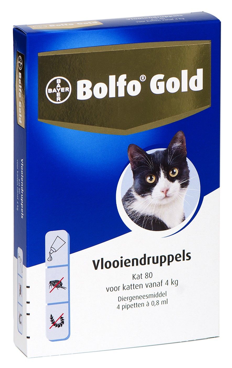 Bolfo Gold Kat 80 vanaf 4kg - 4 pip