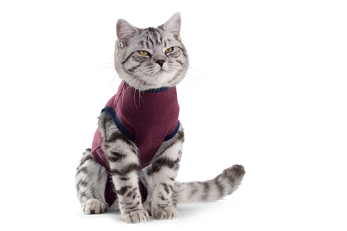 Jacketz Medical Body Suit bordeauxrood kat XXXS