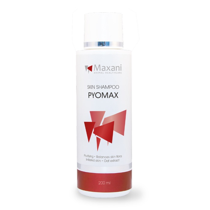 Maxani PyoMax Skin shampoo 200ml
