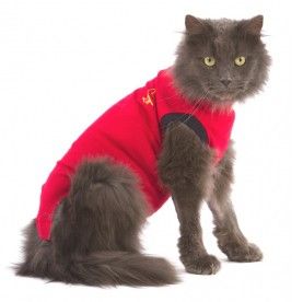 Medical Pet Shirt Kat Rood XXXXS