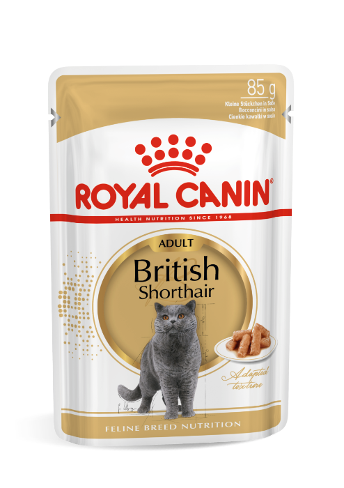 Royal Canin British Shorthair Adult natvoer kattenvoer 12x85g
