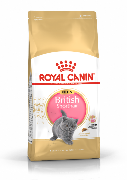 Royal Canin British Shorthair voer voor kitten 2kg
