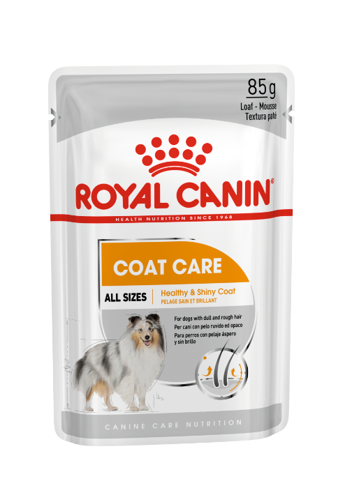 Royal Canin Coat Care natvoer hondenvoer zakjes 12x85g