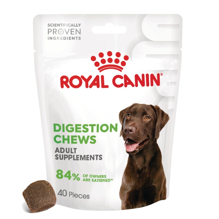 Royal Canin Digestions Chews hond supplement 160 gram