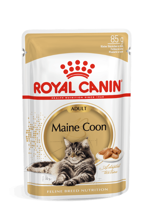 Royal Canin Maine Coon Adult natvoer kattenvoer 12x85g