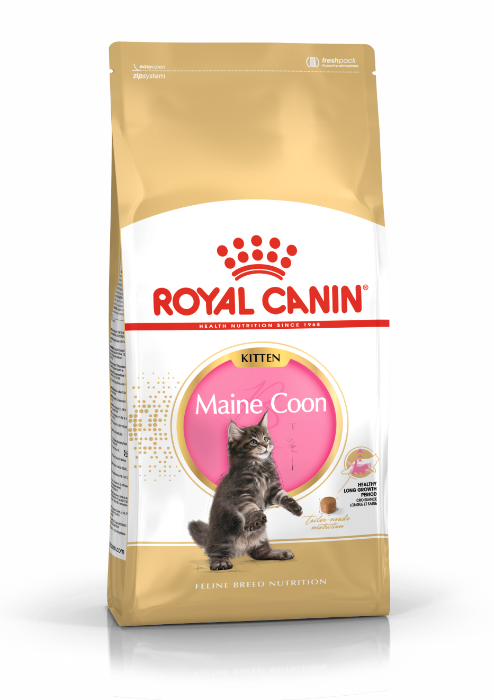 Royal Canin Maine Coon voer voor kitten 2kg