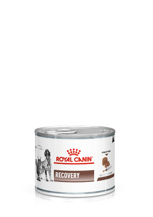 Royal Canin Recovery 195gr