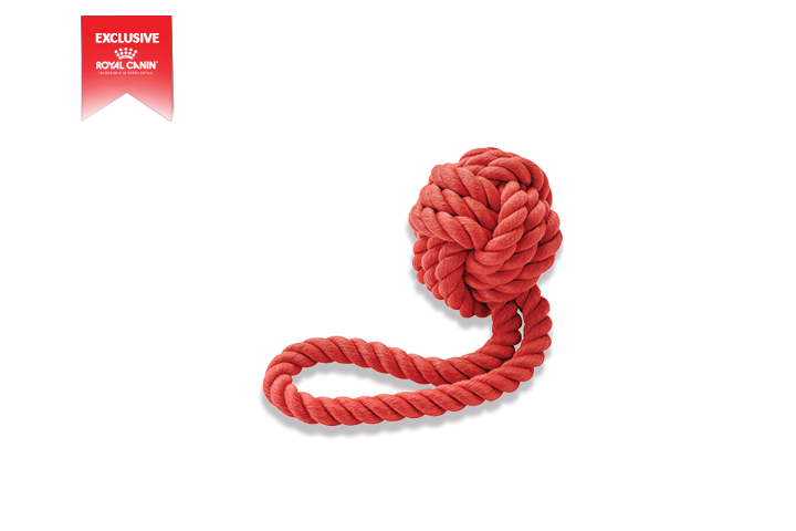 Royal Canin touwbal hondenspeelgoed Ø 6 cm