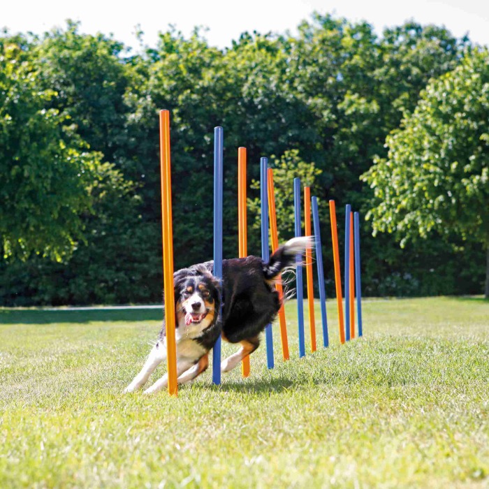 Trixie Dog Activity Agility slalom hond