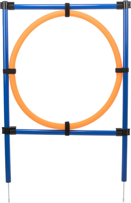 Trixie Fun Agility Ring hond