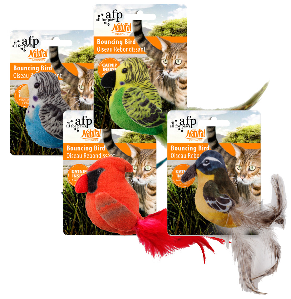 Afp - Naturel Bouncing Birds