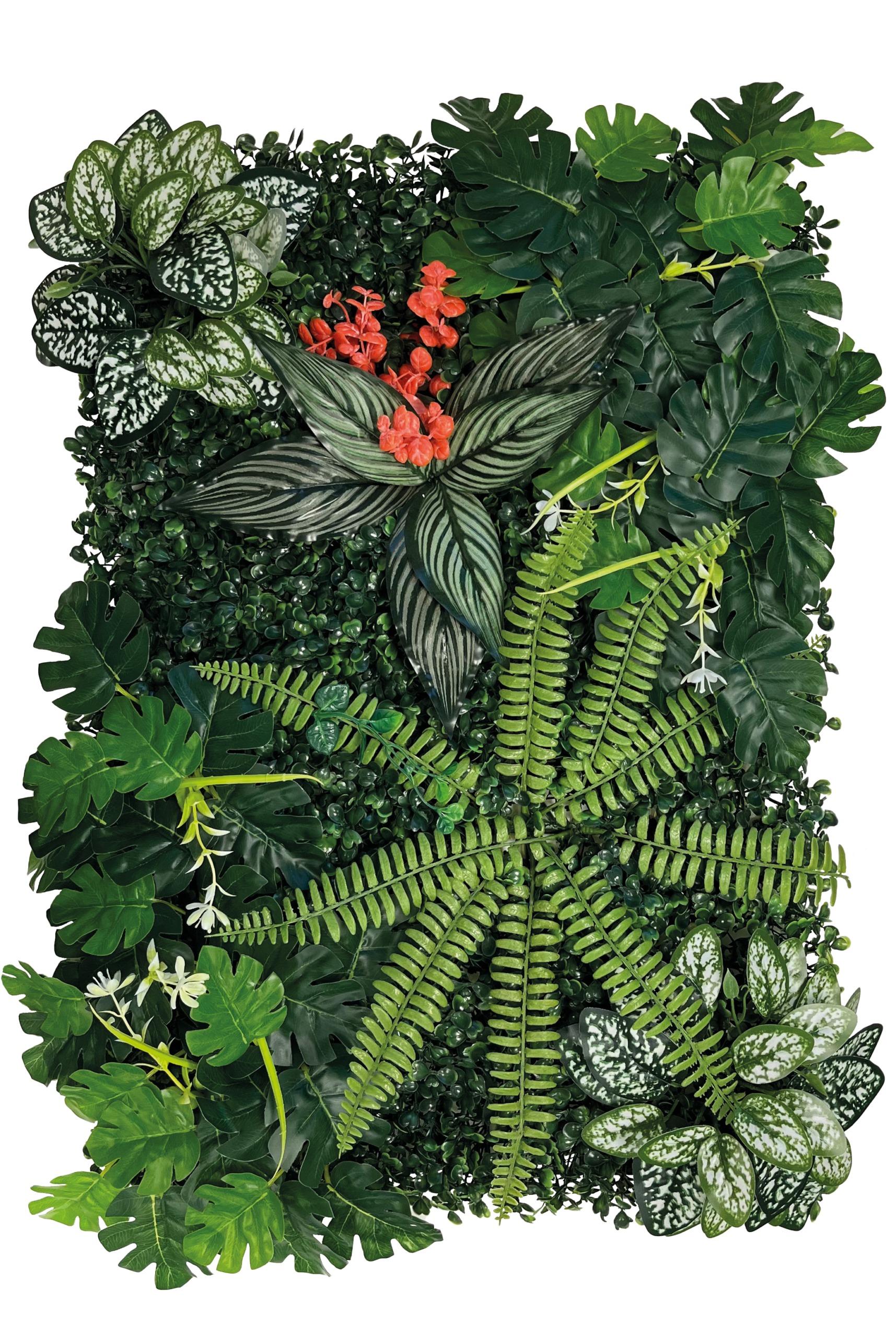 AquaDistri - Repto Plant Achterwand Mat