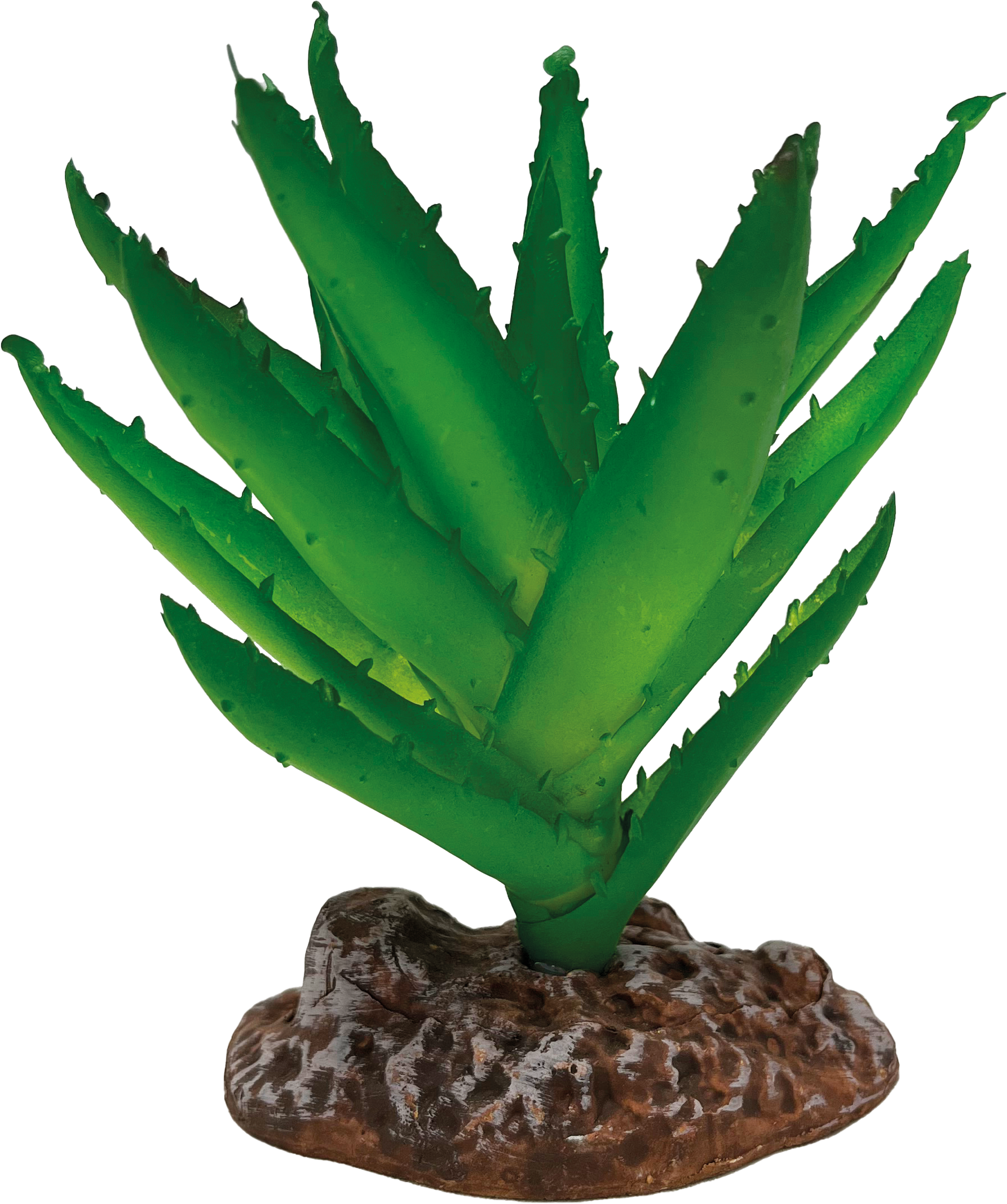 AquaDistri - Repto Plant Aloe Vera