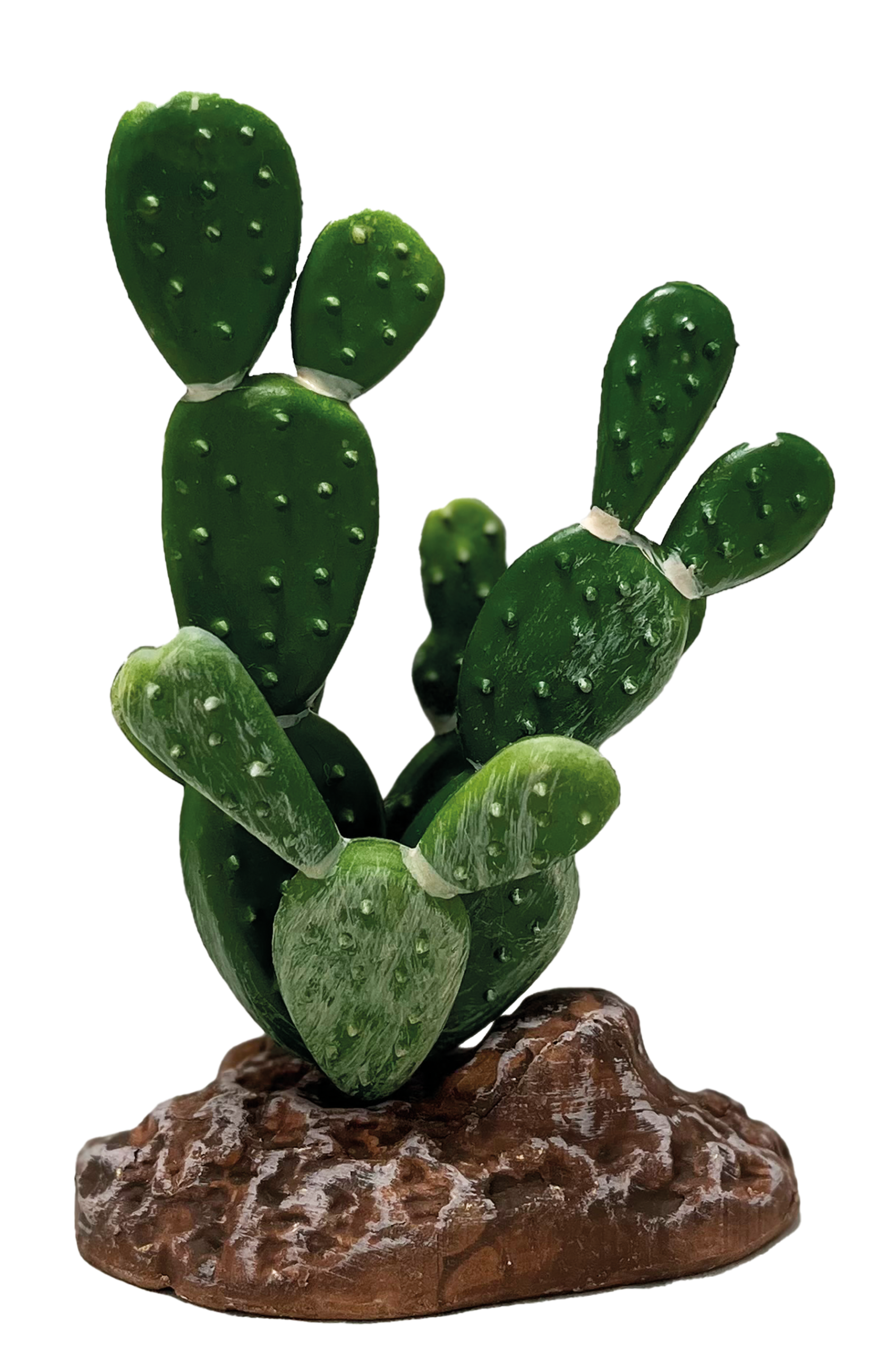 AquaDistri - Repto Plant Cactus Opuntia