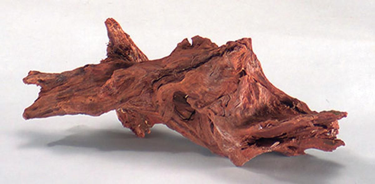 Aquarium Kienhout Jati