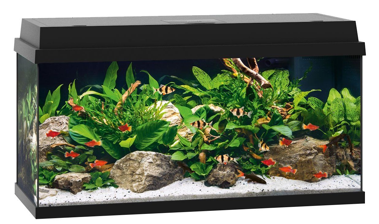 Aquarium Primo 110 Met Filter Zwart