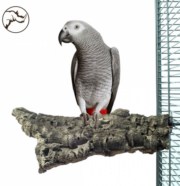 Back Zoo - Corky Chew Large