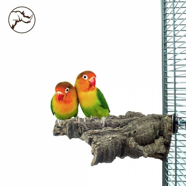 Back Zoo - Corky Chew Medium