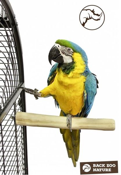 Back Zoo - Java Single Perch L