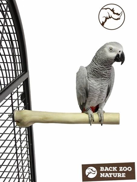 Back Zoo - Java Single Perch M