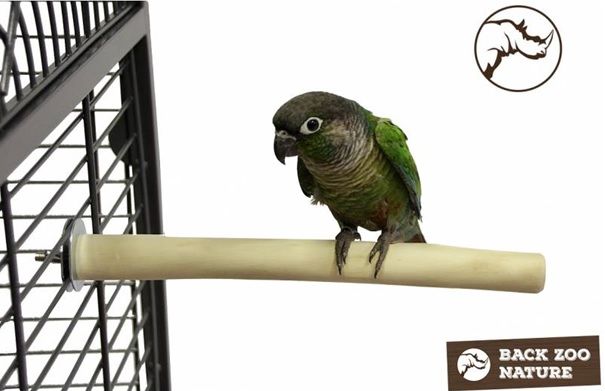 Back Zoo - Java Single Perch S