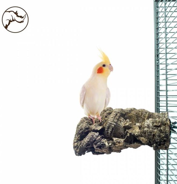 Back Zoo Nature - Corky Chew Small