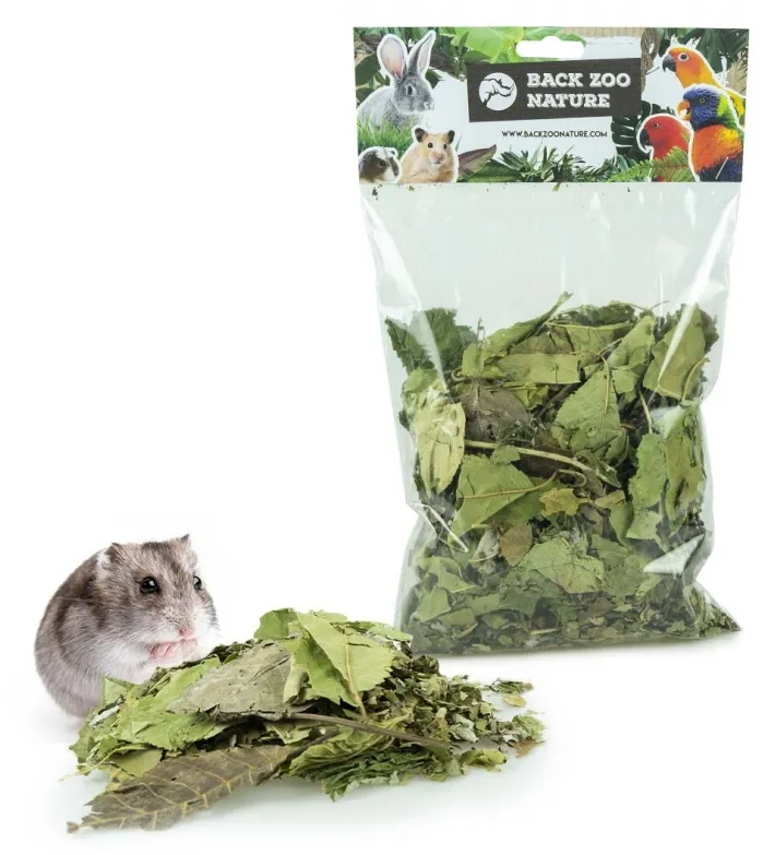 Back Zoo Nature - Discovery Leaves Orchard