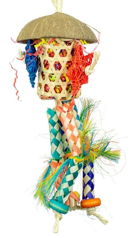 Back Zoo Nature - Firecracker