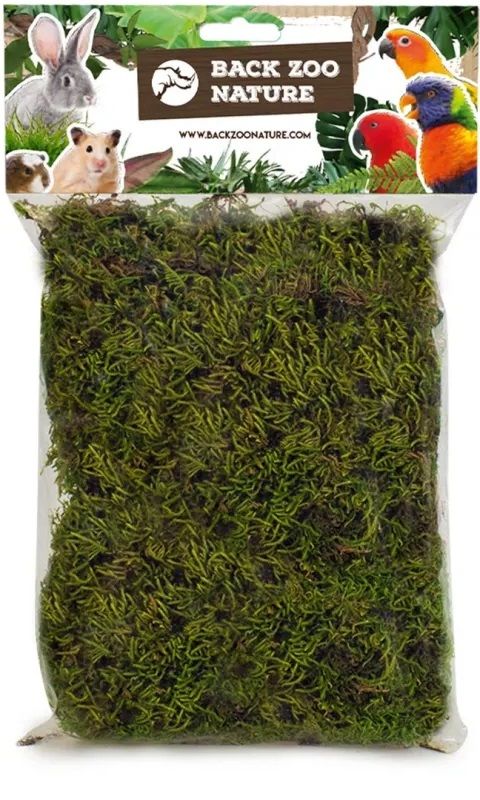 Back Zoo Nature Forest Moss 70gr