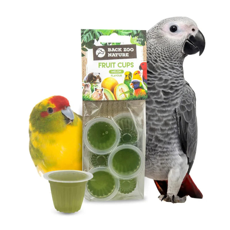 Back Zoo Nature - Fruitkuipje Meloen 6st.