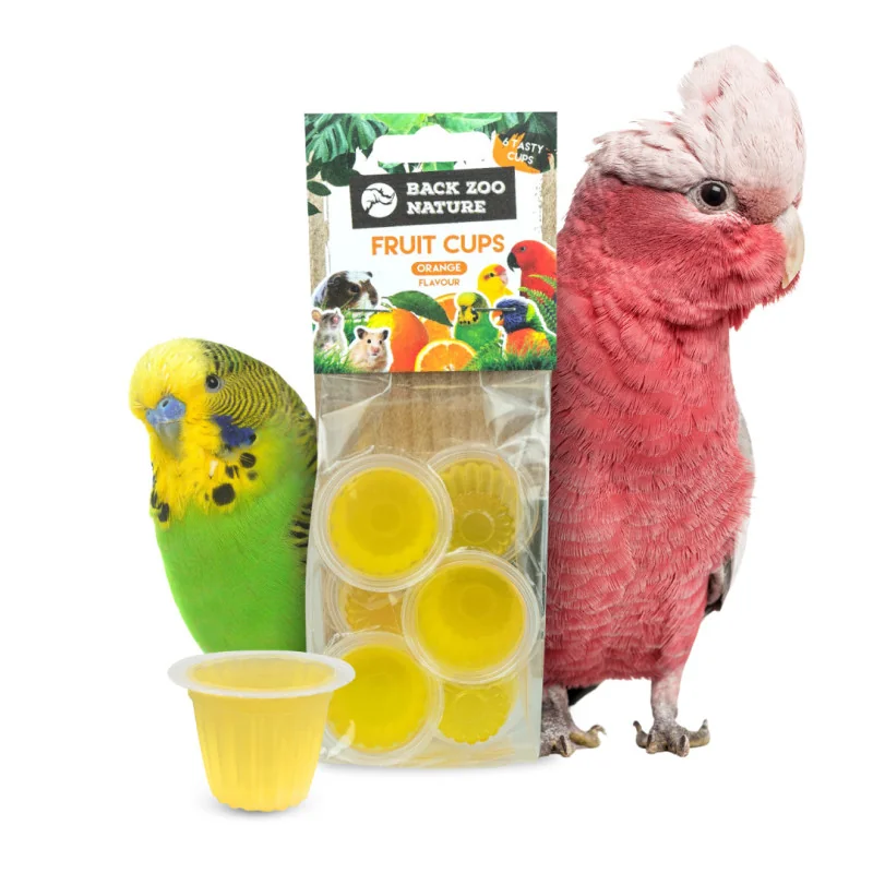 Back Zoo Nature - Fruitkuipje Sinaasappel 6st.