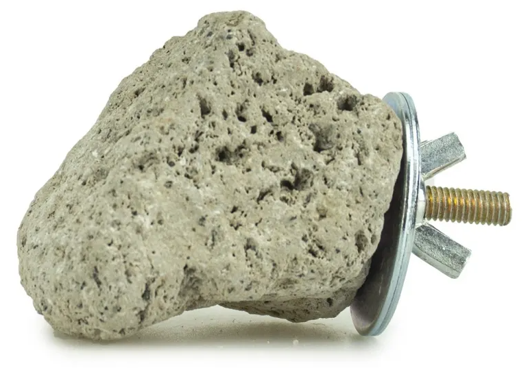 Back Zoo Nature - Java Lava Stone