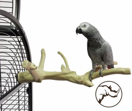 Back Zoo Nature - Java Multi Perch