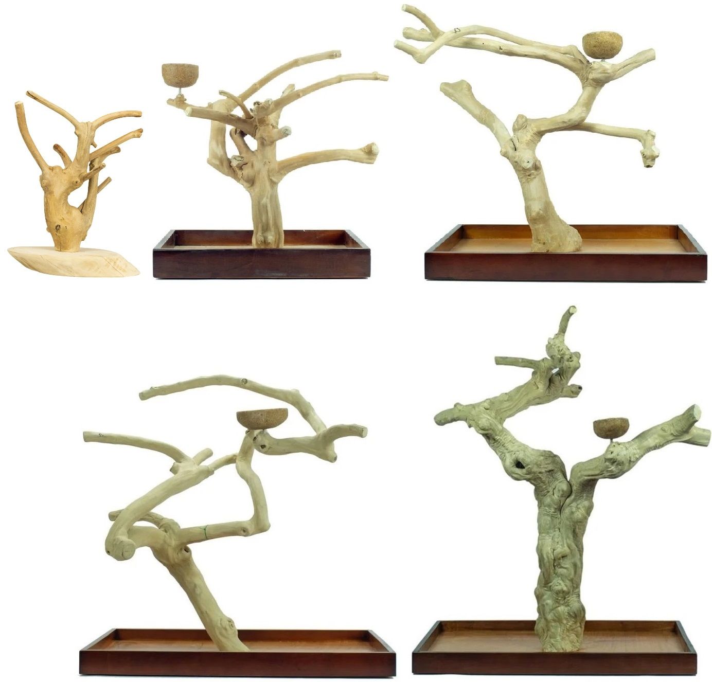 Back Zoo Nature - Java Playstand Premium